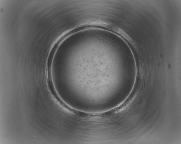 X0000078861028200611131158