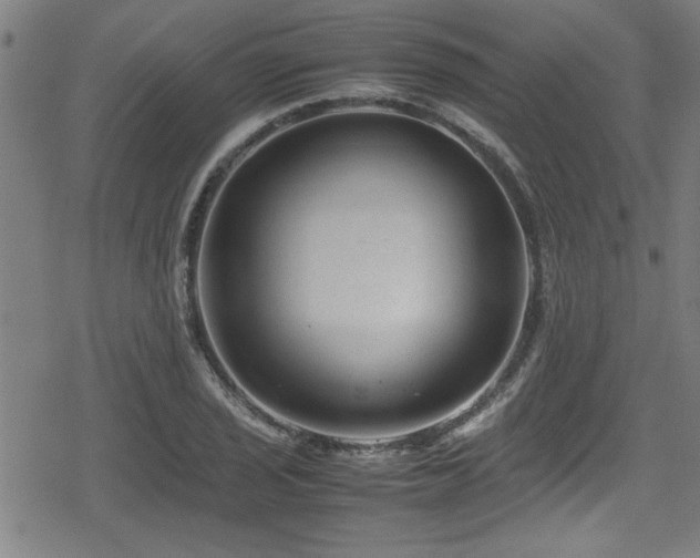 X0000078861029200611131158