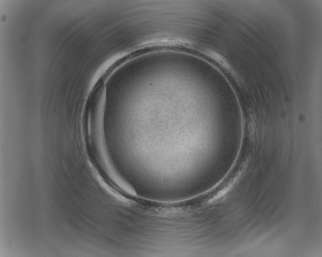 X0000078861030200611131158