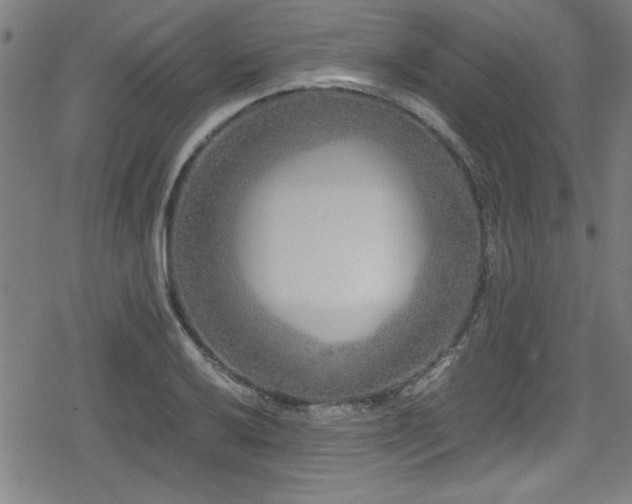 X0000078861032200611131158