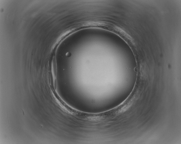 X0000078861033200611131158