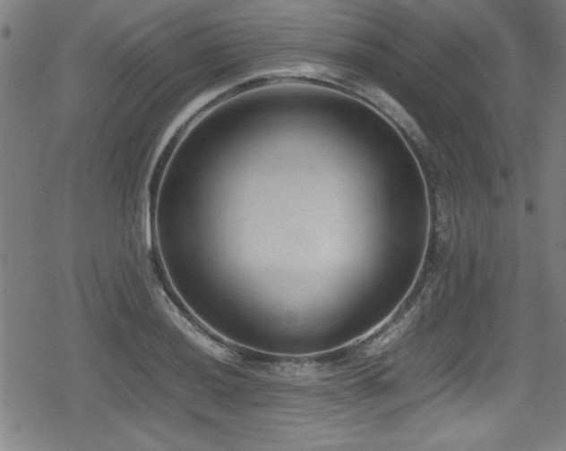 X0000078861036200611131158