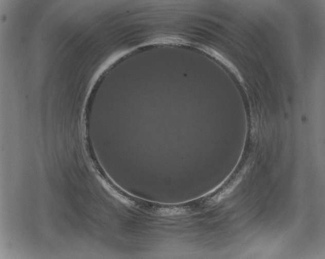 X0000078861037200611131158