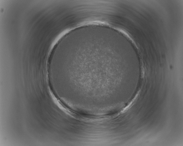 X0000078861038200611131158