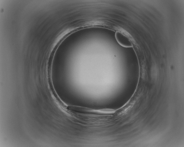 X0000078861039200611131158