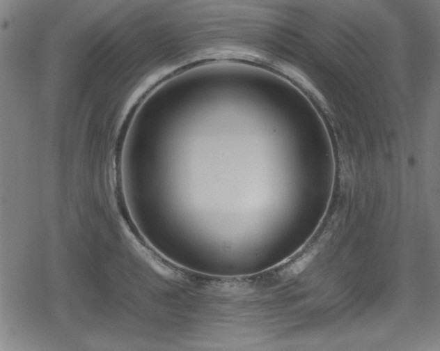 X0000078861040200611131158