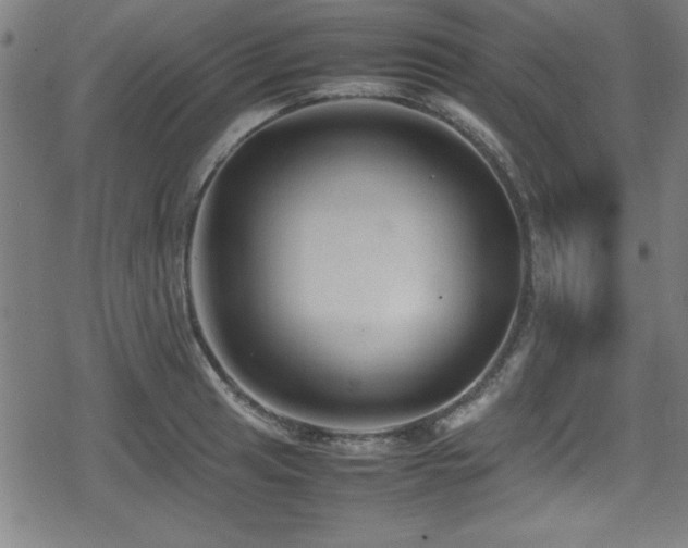 X0000078861041200611131158