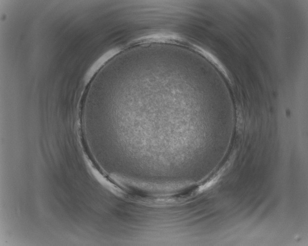 X0000078861042200611131158