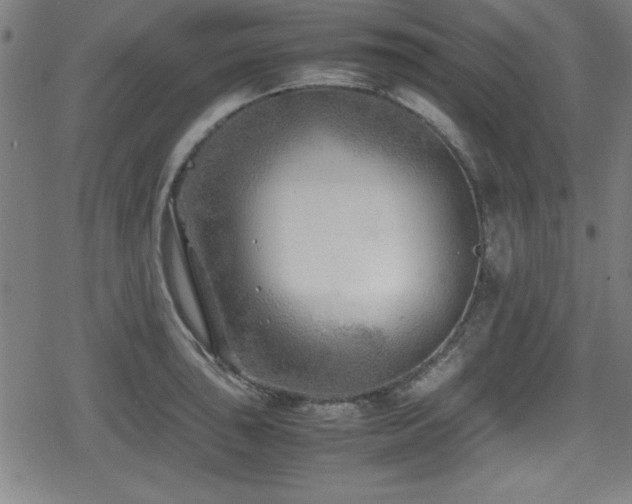 X0000078861043200611131158