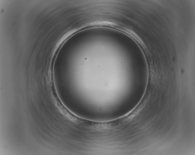 X0000078861044200611131158