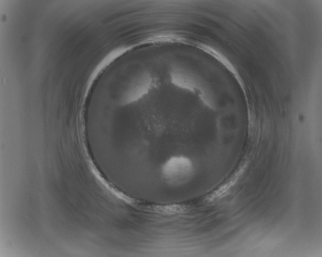 X0000078861045200611131158