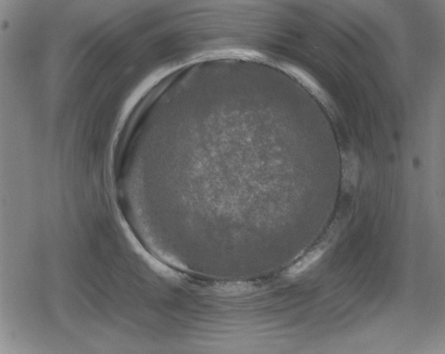 X0000078861046200611131158