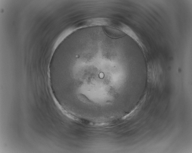 X0000078861047200611131158