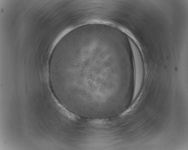 X0000078861048200611131158