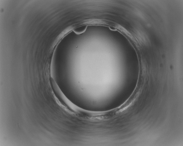 X0000078861049200611131158