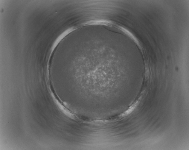 X0000078861050200611131158