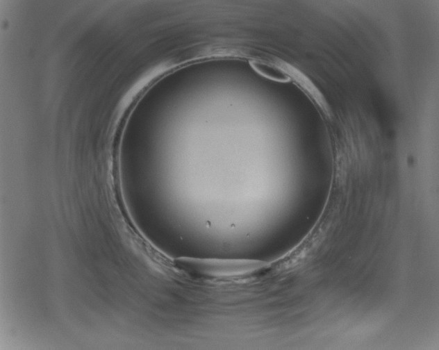 X0000078861051200611131158