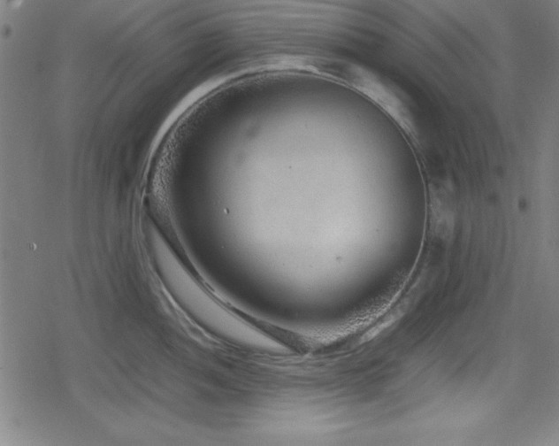 X0000078861052200611131158