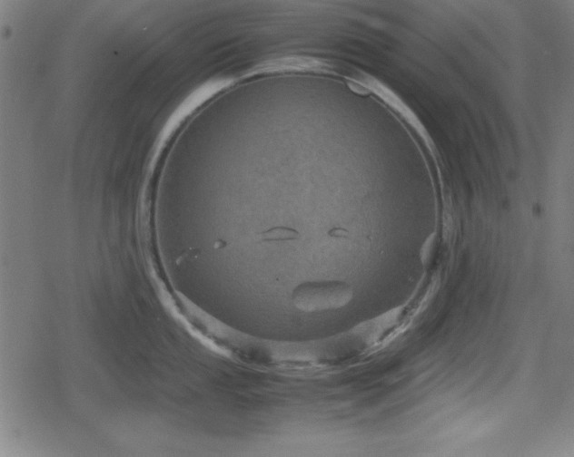 X0000078861053200611131158