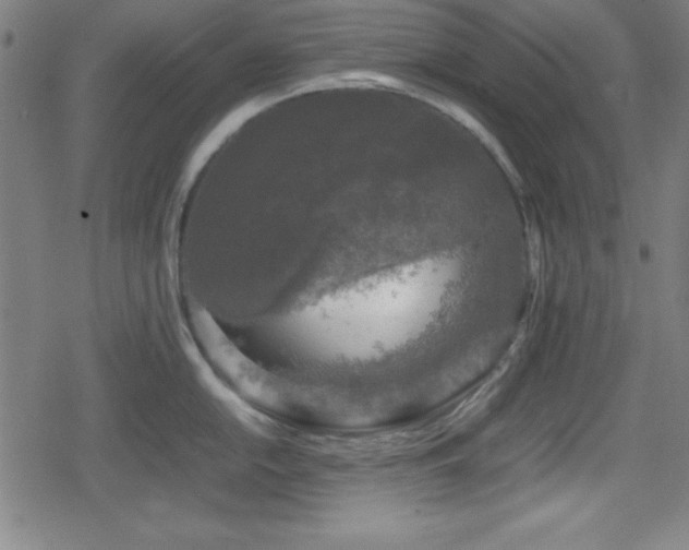 X0000078861054200611131158