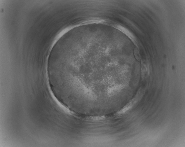 X0000078861055200611131158