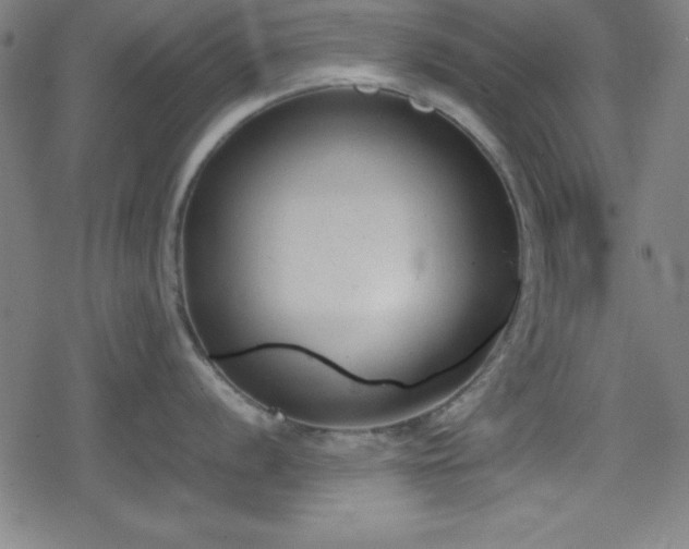 X0000078861056200611131158