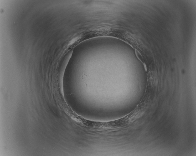 X0000078861057200611131157