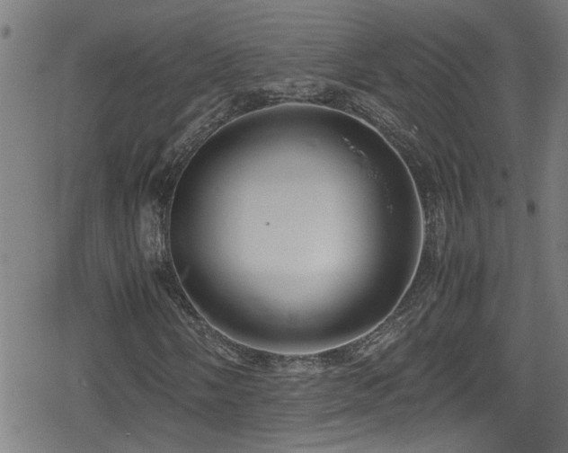 X0000078861058200611131157