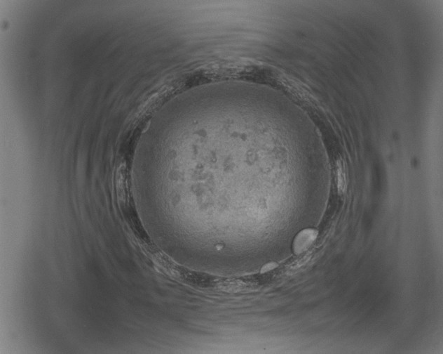 X0000078861059200611131157