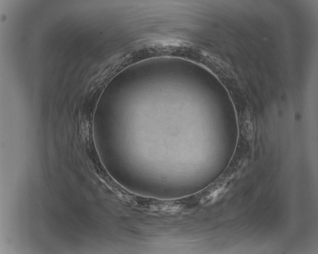 X0000078861061200611131157