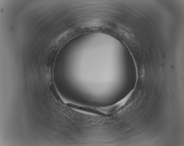 X0000078861062200611131157