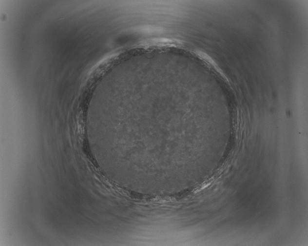 X0000078861063200611131157