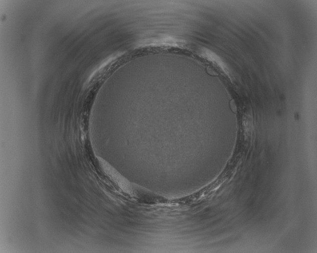 X0000078861064200611131157