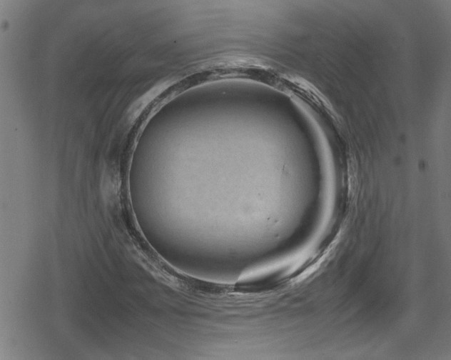 X0000078861065200611131157