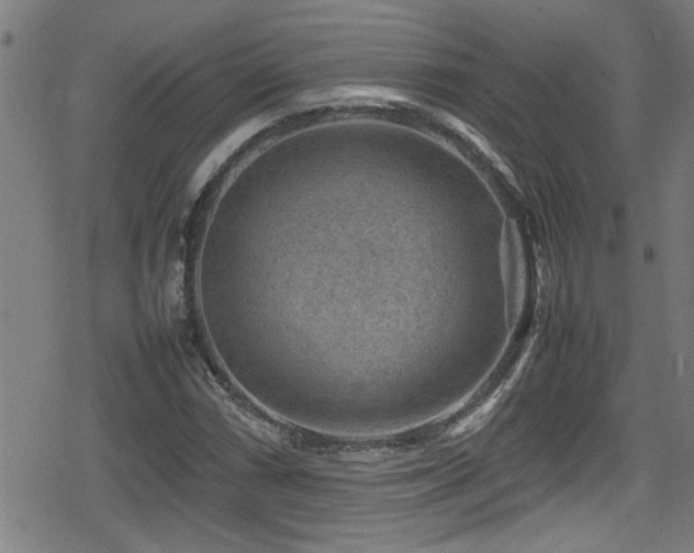 X0000078861066200611131157