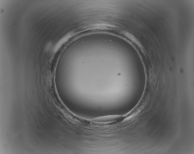 X0000078861067200611131157