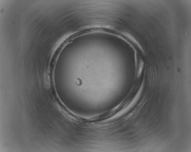 X0000078861068200611131157