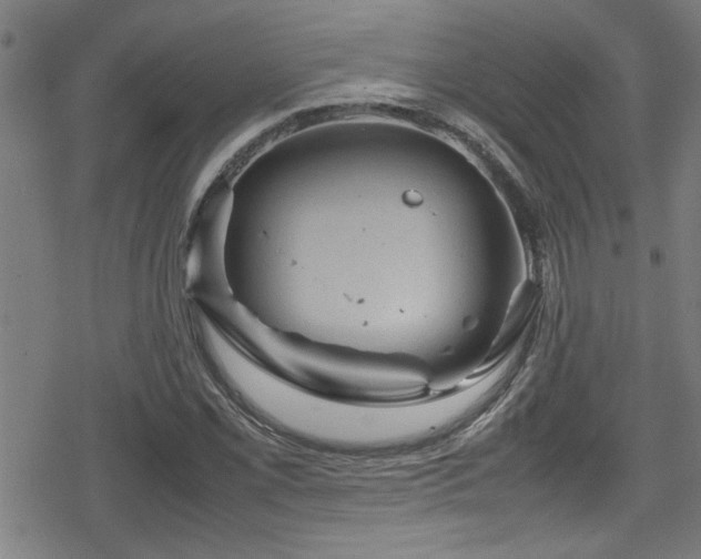 X0000078861069200611131157