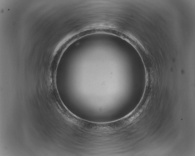 X0000078861070200611131157