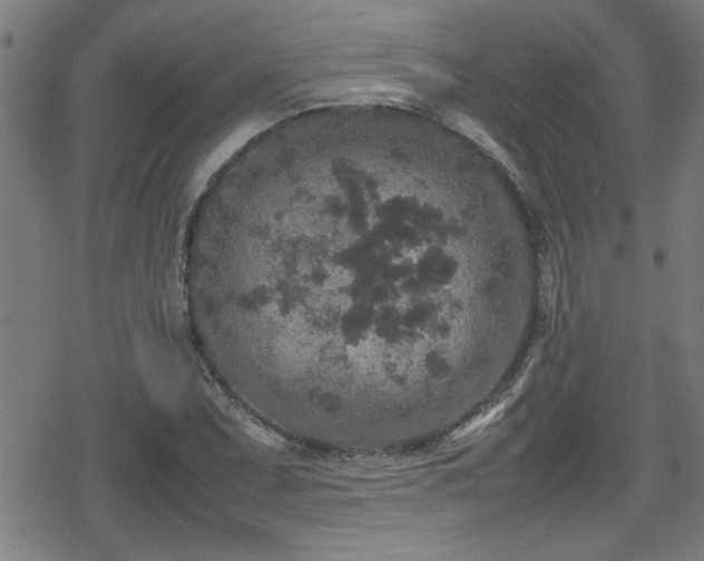 X0000078861071200611131157