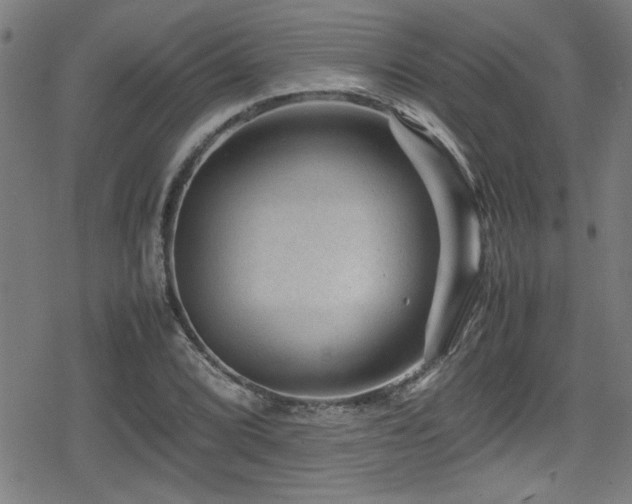 X0000078861072200611131157