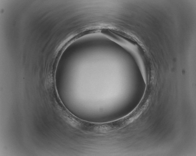 X0000078861073200611131157