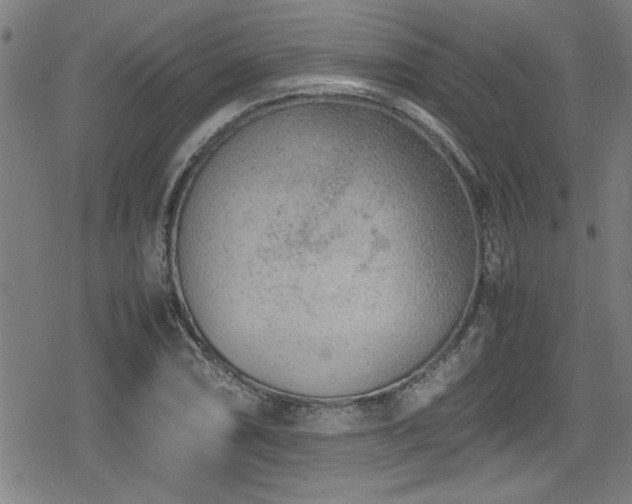 X0000078861074200611131157