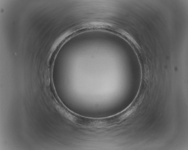 X0000078861075200611131157