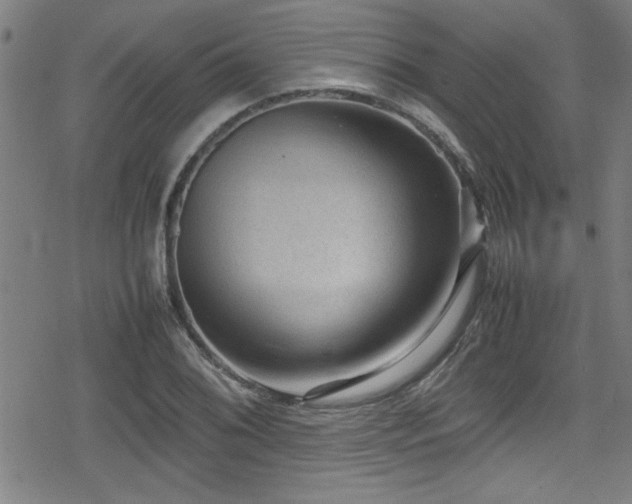 X0000078861076200611131157