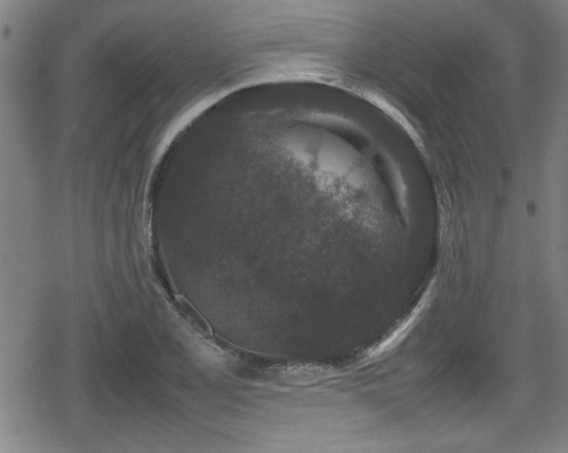 X0000078861077200611131157