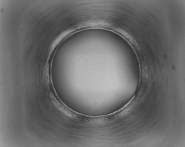 X0000078861078200611131157