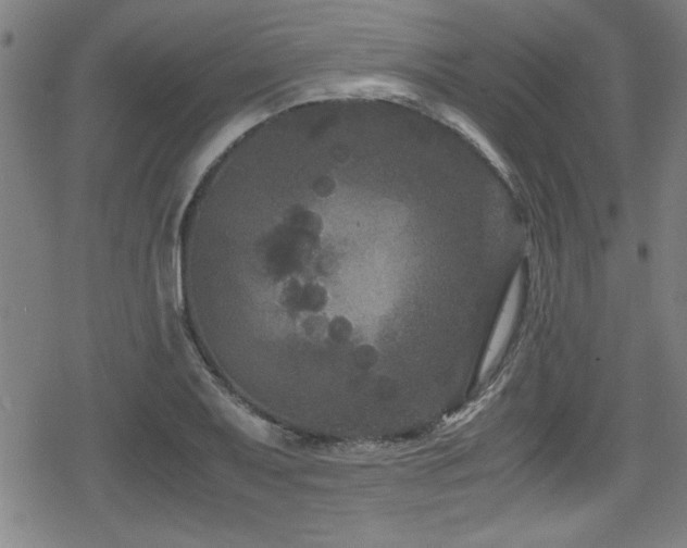 X0000078861079200611131157