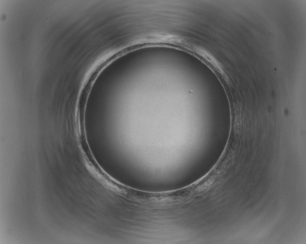 X0000078861080200611131157