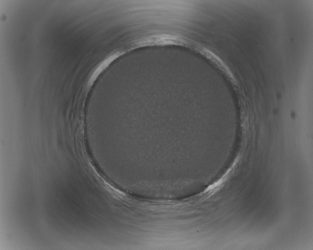 X0000078861081200611131157